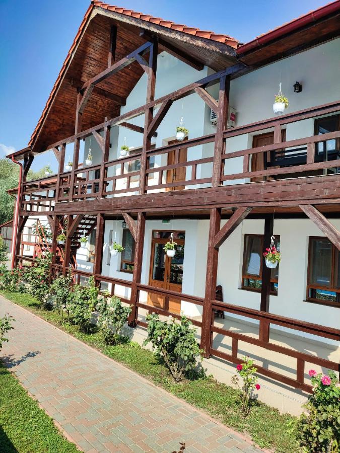 Pensiunea Crisan Exteriér fotografie