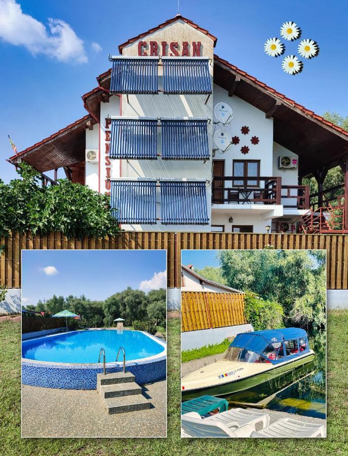 Pensiunea Crisan Exteriér fotografie
